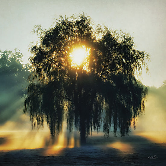 Martin Podt MPP911 - MPP911 - Morning Magnificence - 12x12 Photography, Trees, Landscape, Sunrise, Sunshine, Nature, Morning Magnificence from Penny Lane