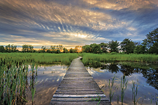 Martin Podt Licensing MPP917LIC - MPP917LIC - Boardwalk - 0  from Penny Lane