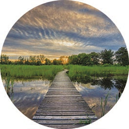 Martin Podt MPP917RP - MPP917RP - Boardwalk - 18x18 Photography, Lake, Boardwalk, Path, Trees, Landscape, Cattails, Nature from Penny Lane