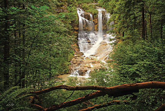 Martin Podt MPP920 - MPP920 - Hidden Treasure - 18x12 Photography, Waterfall, Trees, Landscape from Penny Lane