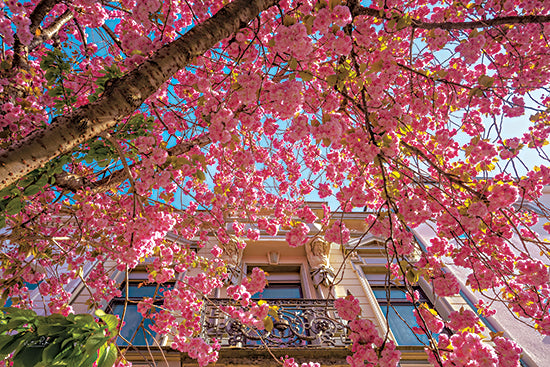 Martin Podt Licensing MPP944LIC - MPP944LIC - Spring in Full Bloom - 0  from Penny Lane