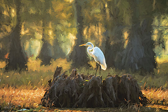 Martin Podt MPP956 - MPP956 - Great Egret - 18x12 Coastal, Photography, Egret, Bird, Forest, Trees, Landscape from Penny Lane