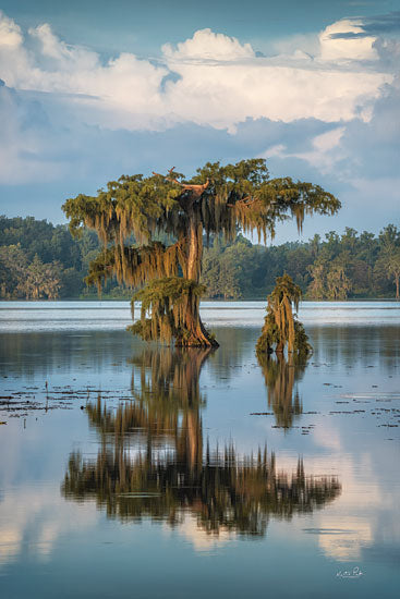 Martin Podt MPP959 - MPP959 - Among the Water - 12x18 Photography, Lake, Trees, Clouds, Landscape, Reflection, Nature from Penny Lane