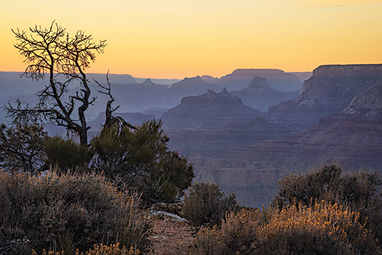 Martin Podt MPP993 - MPP993 - Grand Canyon Sunset - 18x12 Photography, Landscape, Grand Canyon, Sunset, Brush, Nature from Penny Lane