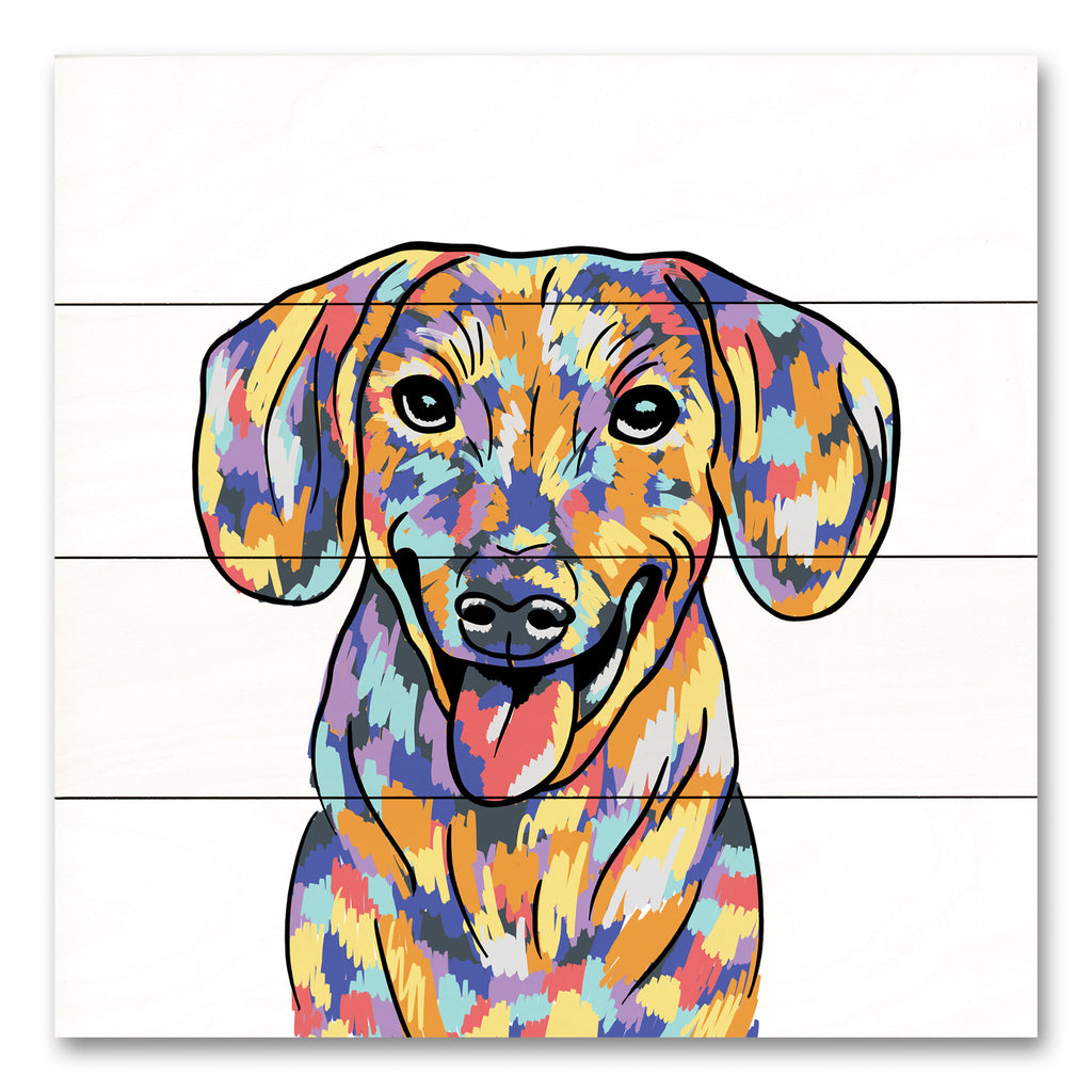 Masey St. Studios MS209PAL - MS209PAL - Rainbow Dachshund - 12x12  from Penny Lane