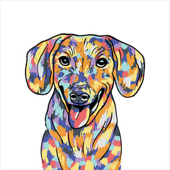 MS209 - Rainbow Dachshund - 12x12