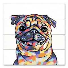 MS213PAL - Rainbow Pug - 12x12