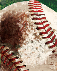 MS239 - Baseball - 12x16