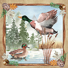 ND184 - Duck in Flight - 12x12