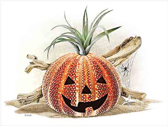 Lauren Rader RAD1450 - RAD1450 - Coastal Pumpkin Still Life - 16x12 Coastal, Still Life, Halloween, Pumpkin, Jack O'Lantern, Driftwood, Sand, Spider, Spider's Web, Cactus, Fall from Penny Lane