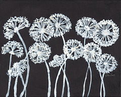 REAR404 - Field of Wishes - 16x12