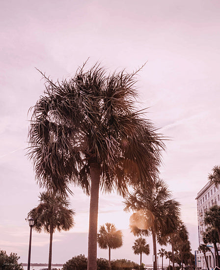 Jennifer Rigsby RIG118 - RIG118 - Blush Summer - 12x16 Trees, Coastal, Tropical, Summer, Photography from Penny Lane