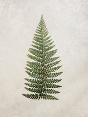 RIG157 - Vintage Fern II - 12x16