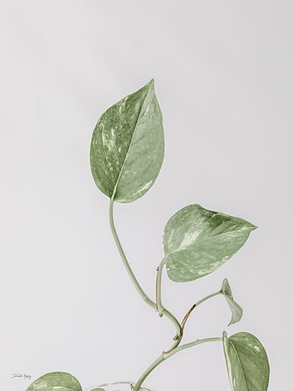 Jennifer Rigsby RIG162 - RIG162 - Boho Pothos - 12x16 Green Plant, Pothos, Climbing Plant, Plant, Botanical from Penny Lane