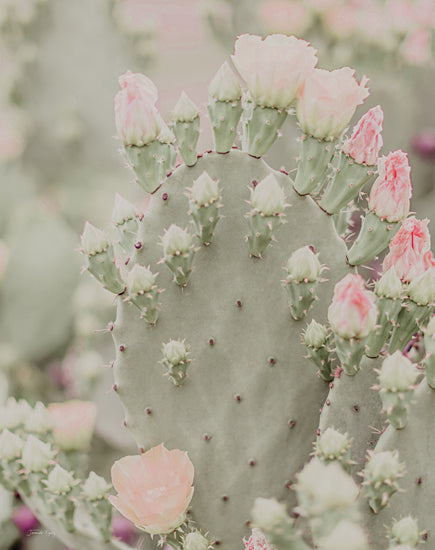 Jennifer Rigsby RIG184 - RIG184 - Blooms Abound III - 12x16 Abstract, Cactus, Blooming Cactus, Pink Flowers, Photography, Botanical from Penny Lane