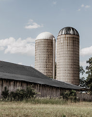 RIG188 - Standing Farm Sisters - 12x16