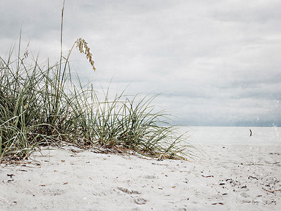 Jennifer Rigsby RIG197 - RIG197 - Vintage Beach Grass II - 16x12 Coastal, Photography, Beach Grass, Beach, Coast, Sand, Ocean, Landscape from Penny Lane