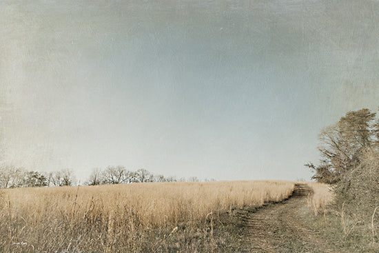 Jennifer Rigsby RIG244 - RIG244 - Unwind - 18x12 Photography, Landscape, Field, Path, Sky from Penny Lane