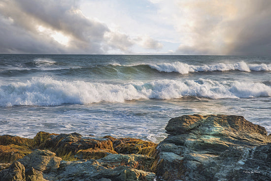 Robin-Lee Vieira RLV534 - The Clearing - Ocean, Rocks from Penny Lane Publishing