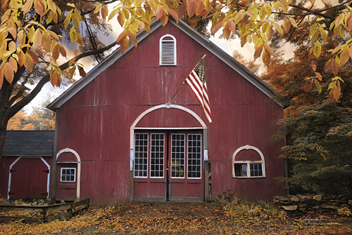 Robin-Lee Vieira RLV557 - Country Patriot - School, Flag, Landscape, Patriotic, Photography, Children, Kids from Penny Lane Publishing