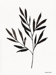 RN170 - Reductive Leaf Stem Black    - 12x16