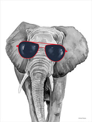 RN359 - Looking Cool Elephant - 12x16