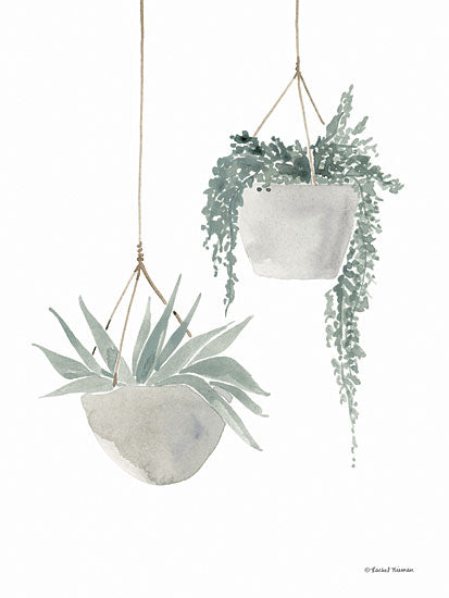 Rachel Nieman RN386 - RN386 - Sage Hanging Planters - 12x16 Sage Hanging Planters, Hanging Plants, Greenery, Succulents, Cactus, Neutral Palette from Penny Lane