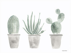 RN388 - Sage Cactus Trio - 16x12