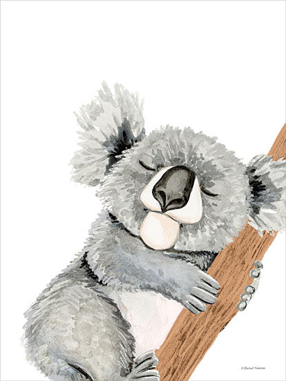 Rachel Nieman Licensing RN533LIC - RN533LIC - Cuddles the Koala - 0  from Penny Lane