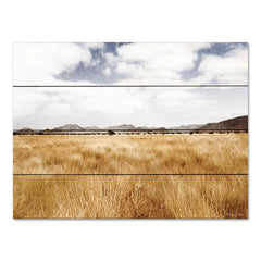 SB1116PAL - Meadow - 16x12