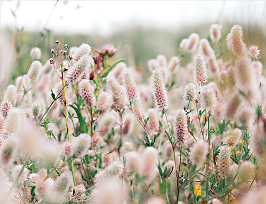 Susan Ball Licensing SB1153LIC - SB1153LIC - Boho Flower Field - 0  from Penny Lane