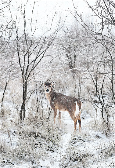 Susan Ball SB1235 - SB1235 - Snowy Day in the Woods - 12x18 Winter, Deer, White Deer, Snow, Woods, Trees, Photography, Landscape from Penny Lane