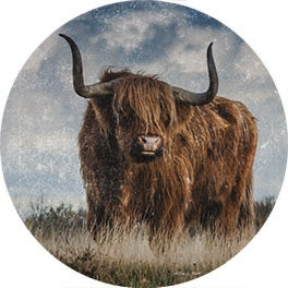 Susan Ball SB1243RP - SB1243RP - Highland Bull Vintage 1 - 18x18  from Penny Lane