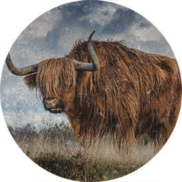 Susan Ball SB1244RP - SB1244RP - Highland Bull Vintage 2 - 18x18  from Penny Lane