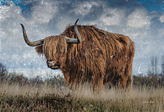 SB1244 - Highland Bull Vintage 2 - 18x12