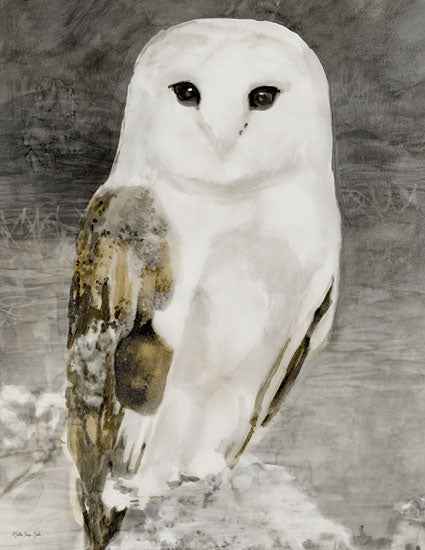 Stellar Design Studio SDS1006 - SDS1006 - Snowy Owl 1 - 12x16  from Penny Lane