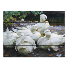 SDS1177PAL - Ducks by the Lake 2 - 16x12