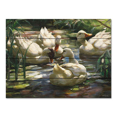 SDS1179PAL - Ducks by the Lake 4 - 16x12