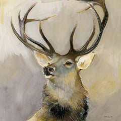 SDS1225 - Elk Study 1 - 12x12