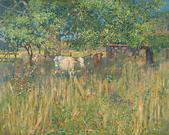 SDS1256 - Field Cows - 16x12