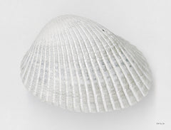 SDS1286 - Soft Scallop 1 - 16x12