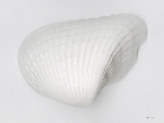 Stellar Design Studio SDS1288 - SDS1288 - Soft Scallop 3 - 16x12 Coastal, Shell, Scallop Shell, White from Penny Lane