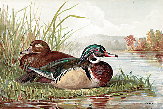 Stellar Design Studio SDS1419 - SDS1419 - Resting Duck 2 - 18x12 Lake, Ducks, Mallard Ducks, Resting Ducks, Grass from Penny Lane