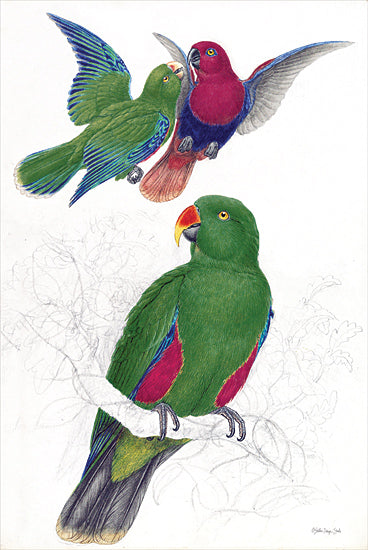 Stellar Design Studio SDS1432 - SDS1432 - Island Duet - 12x18 Birds, Green, Maroon, Sketch, Island Duet from Penny Lane