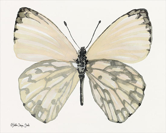 Stellar Design Studio SDS160 - SDS160 - Butterfly 2 - 16x12 Butterfly, Portrait from Penny Lane