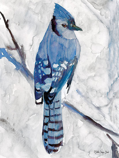 Stellar Design Studio SDS171 - SDS171 - Blue Jay 1 - 12x16 Blue Jay, Portrait from Penny Lane