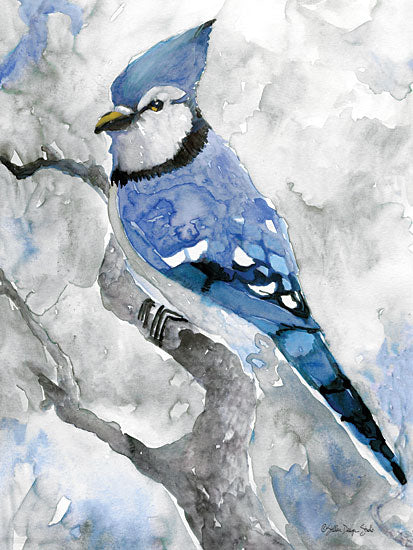 Stellar Design Studio SDS172 - SDS172 - Blue Jay 2 - 12x16 Blue Jay, Portrait from Penny Lane