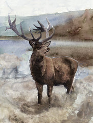 SDS249 - Grand Elk 2 - 12x16