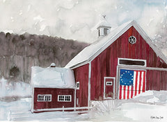 SDS285 - American Barn - 16x12