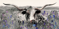 SDS375 - Longhorn in Flower Field   - 18x9